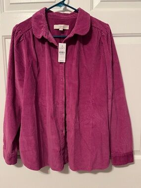 NWT LOFT Corduroy Button-Up Shirt